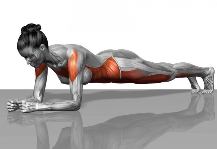 Muscle pattern